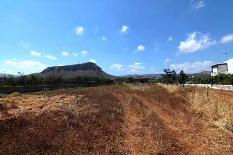 2600m² Land à Heraklion, Greece No. 59592 1