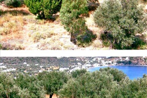 13332m² Land in Sifnos, Greece No. 59590 3