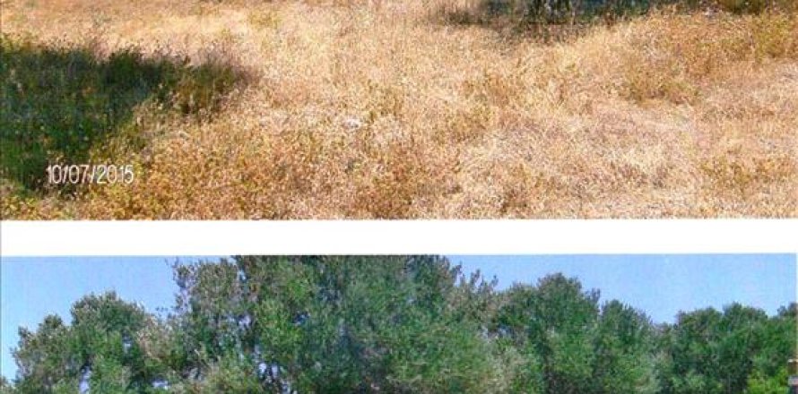 13332m² Land en Sifnos, Greece No. 59590