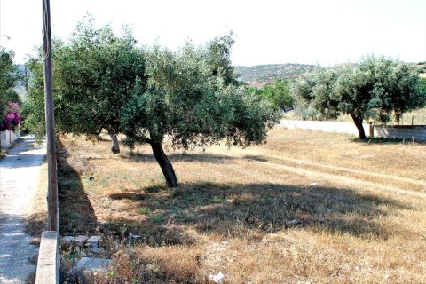 1385m² Land en Koropi, Greece No. 59588 2