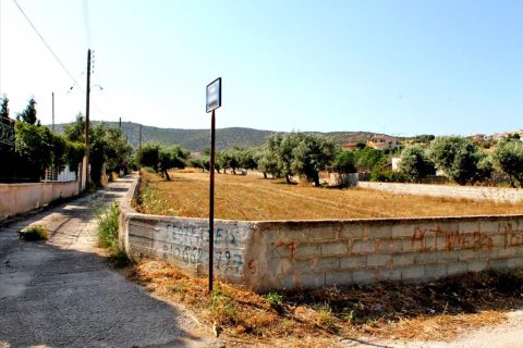 1385m² Land à Koropi, Greece No. 59588 5