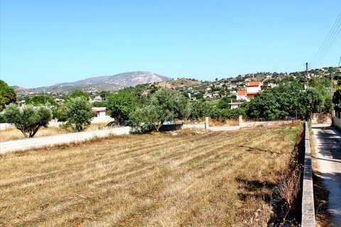 1385m² Land en Koropi, Greece No. 59588 1