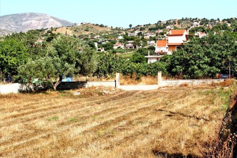 1385m² Land à Koropi, Greece No. 59588 3