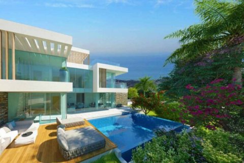 4 bedrooms Villa in Paphos, Cyprus No. 51695 2