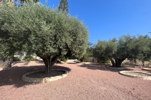 236m² Villa en Rojales, Spain No. 26798 17