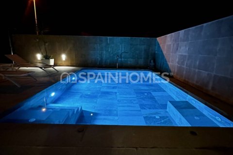 4 bedrooms Villa in San Pedro del Pinatar, Spain No. 26323 10