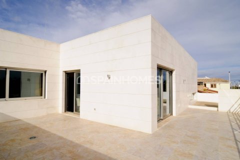 4 chambres Villa à San Pedro del Pinatar, Spain No. 26323 14