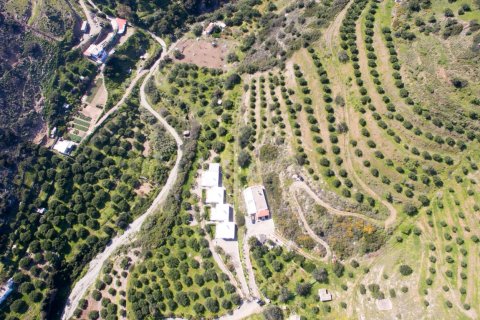 55000m² Land en Sitia, Greece No. 56996 8