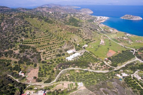 55000m² Land in Sitia, Greece No. 56996 2