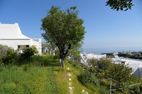 55000m² Land in Sitia, Greece No. 56996 4