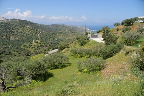 13000m² Land in Sitia, Greece No. 56997 3