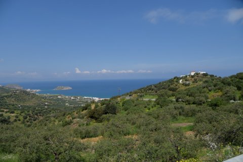 13000m² Land in Sitia, Greece No. 56997 1