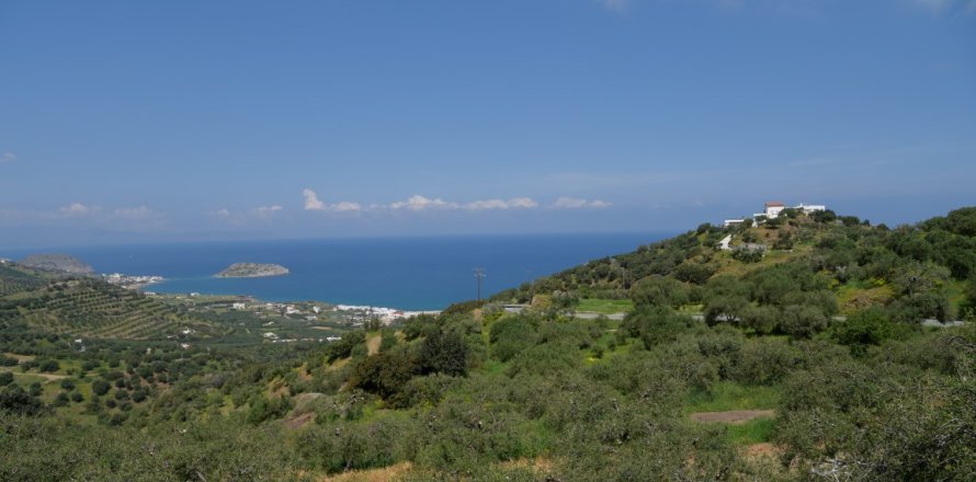 13000m² Land en Sitia, Greece No. 56997