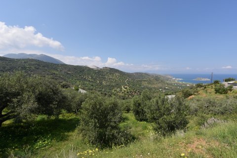 13000m² Land en Sitia, Greece No. 56997 4