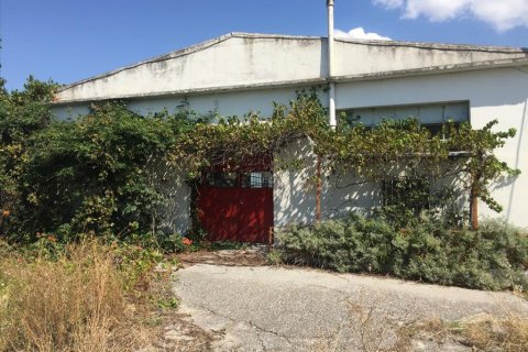 1050m² Business in Pylaia, Greece No. 57947 2