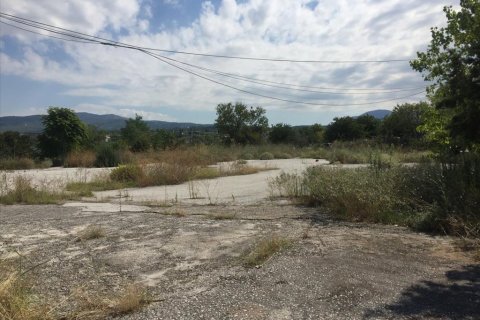 1050m² Affaires à Pylaia, Greece No. 57947 11