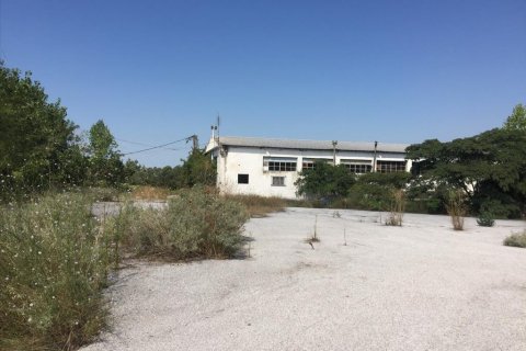 1050m² Business in Pylaia, Greece No. 57947 1