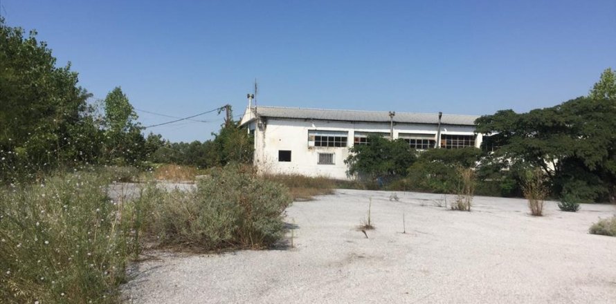 1050m² Negocio en Pylaia, Greece No. 57947