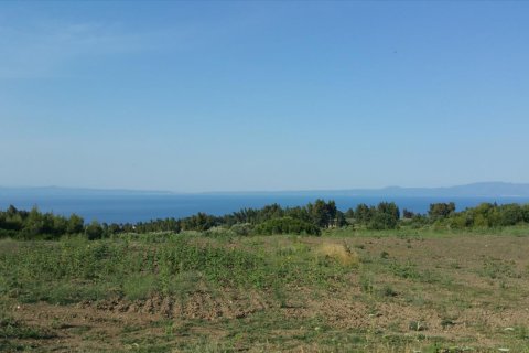 14625m² Land à Chalkidiki, Greece No. 58082 4