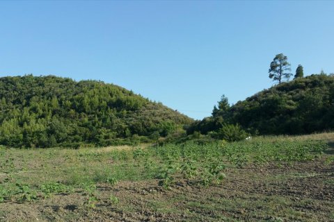 14625m² Land en Chalkidiki, Greece No. 58082 8