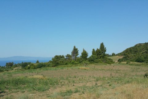 14625m² Land à Chalkidiki, Greece No. 58082 5