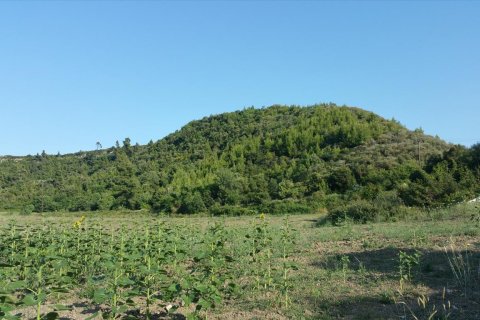 14625m² Land in Chalkidiki, Greece No. 58082 7