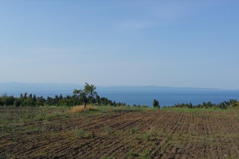 14625m² Land en Chalkidiki, Greece No. 58082 1