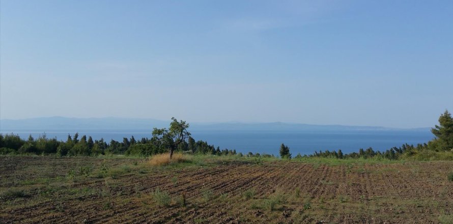 14625m² Land in Chalkidiki, Greece No. 58082