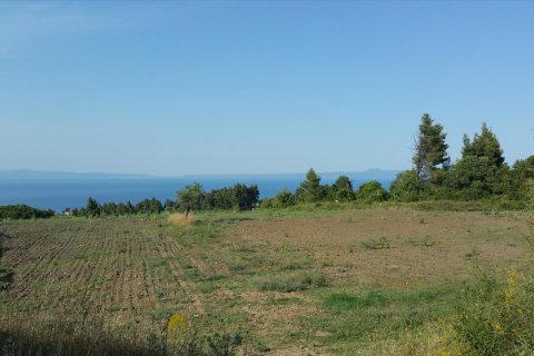 14625m² Land in Chalkidiki, Greece No. 58082 2