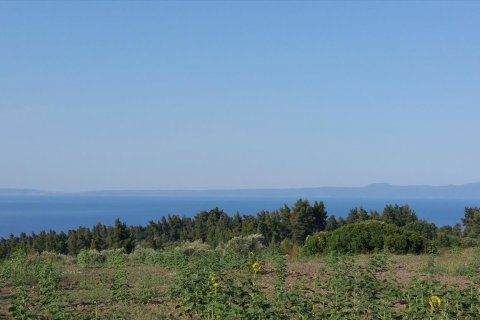 14625m² Land in Chalkidiki, Greece No. 58082 11