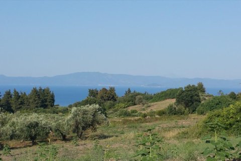 14625m² Land en Chalkidiki, Greece No. 58082 9