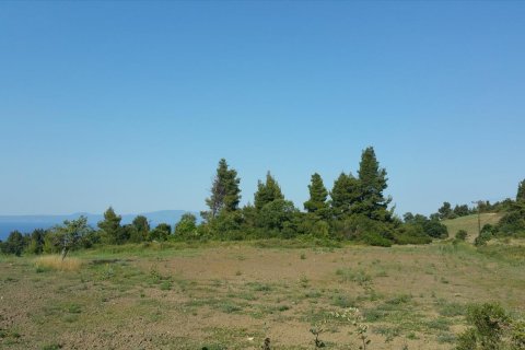 14625m² Land in Chalkidiki, Greece No. 58082 3