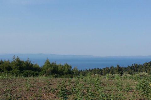 14625m² Land à Chalkidiki, Greece No. 58082 10