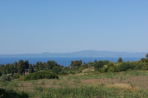 14625m² Land in Chalkidiki, Greece No. 58082 6