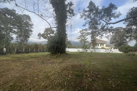 20 dormitorios Land en Chiang Mai, Thailand No. 2150 4