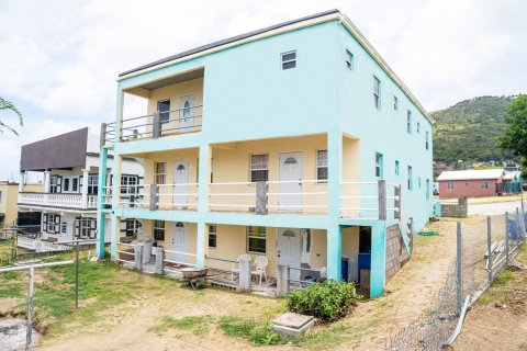 10 chambres Villa à Basseterre, Saint Kitts and Nevis No. 61416 4