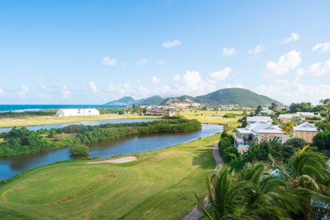 3 chambres Villa à Lucas, Saint Kitts and Nevis No. 61418 11