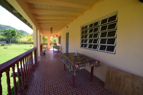 4 chambres Villa à Sandy Point Town, Saint Kitts and Nevis No. 61417 8