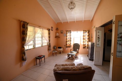 4 bedrooms Villa in Sandy Point Town, Saint Kitts and Nevis No. 61417 4