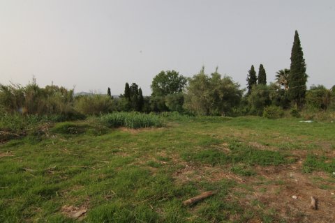 4000m² Land in Corfu, Greece No. 58770 3