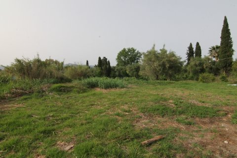 4000m² Land en Corfu, Greece No. 58770 4