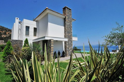 3 bedrooms Villa in Lasithi, Greece No. 49540 13