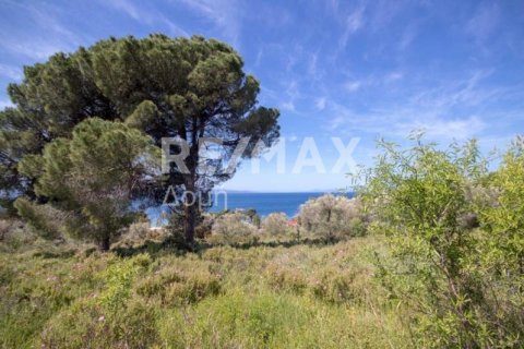 4050m² Land in Skiathos, Greece No. 27963 3