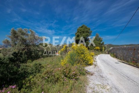 4050m² Land en Skiathos, Greece No. 27963 9