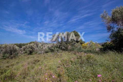 4050m² Land in Skiathos, Greece No. 27963 4