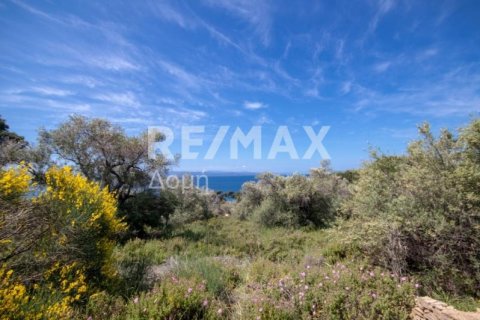 4050m² Land en Skiathos, Greece No. 27963 7