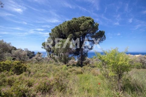 4050m² Land en Skiathos, Greece No. 27963 2