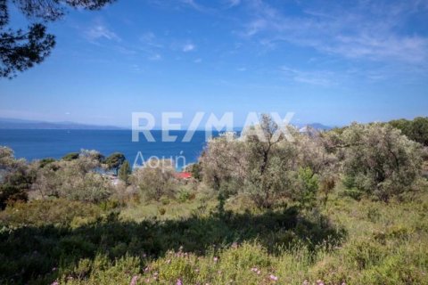 4050m² Land in Skiathos, Greece No. 27963 5