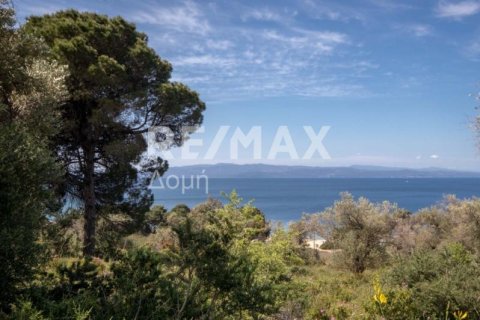 4050m² Land in Skiathos, Greece No. 27963 6