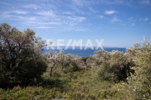 4050m² Land en Skiathos, Greece No. 27963 1